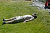 Termignon09 (93).jpg